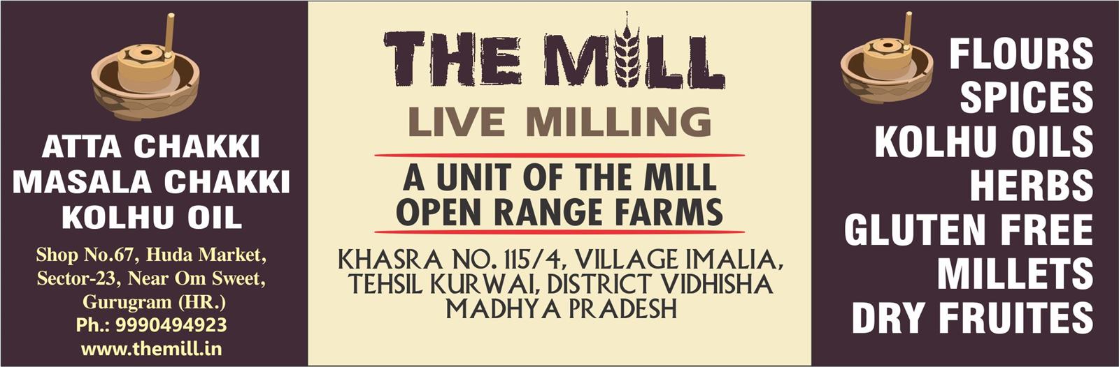 THE MILL LIVE MILLING (Flour Mills in Sector 23)
